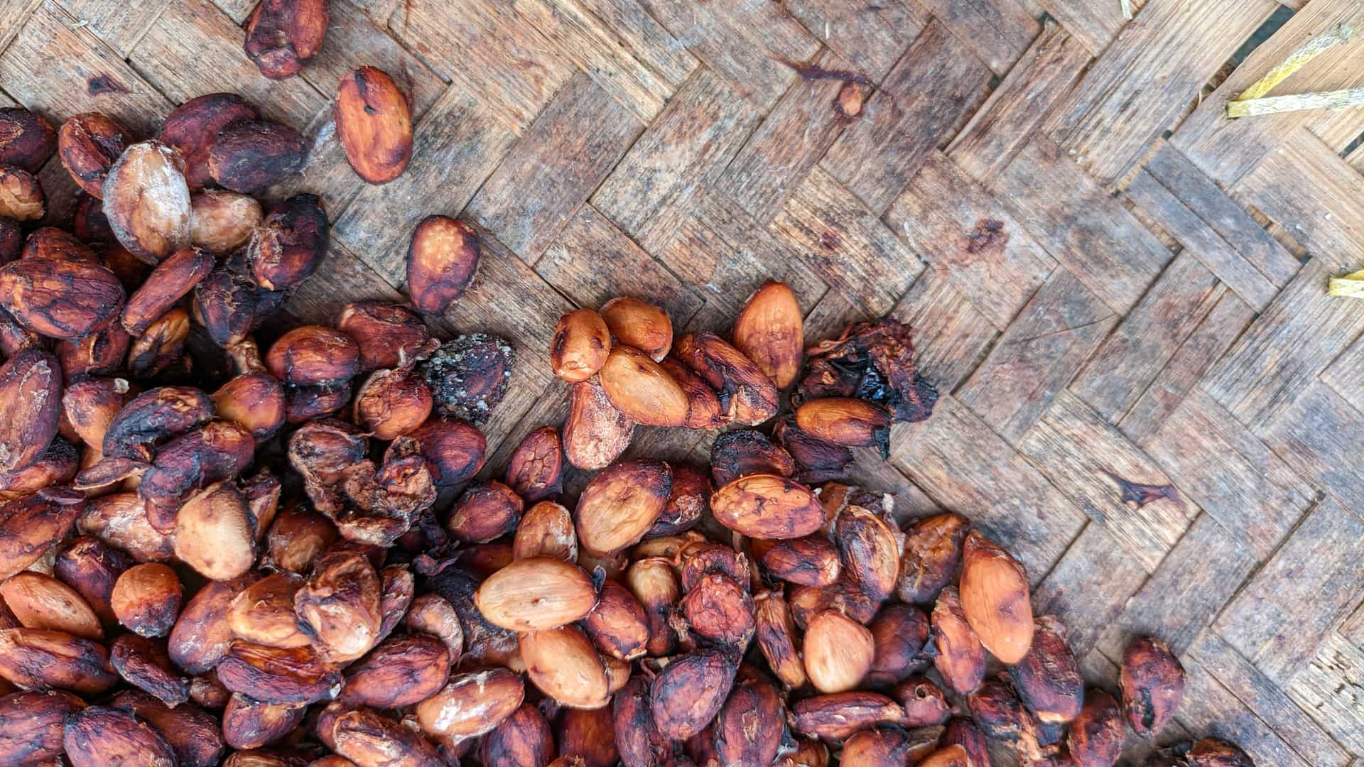 WCF Introduces First GHG Accounting Standard for Cocoa Industry