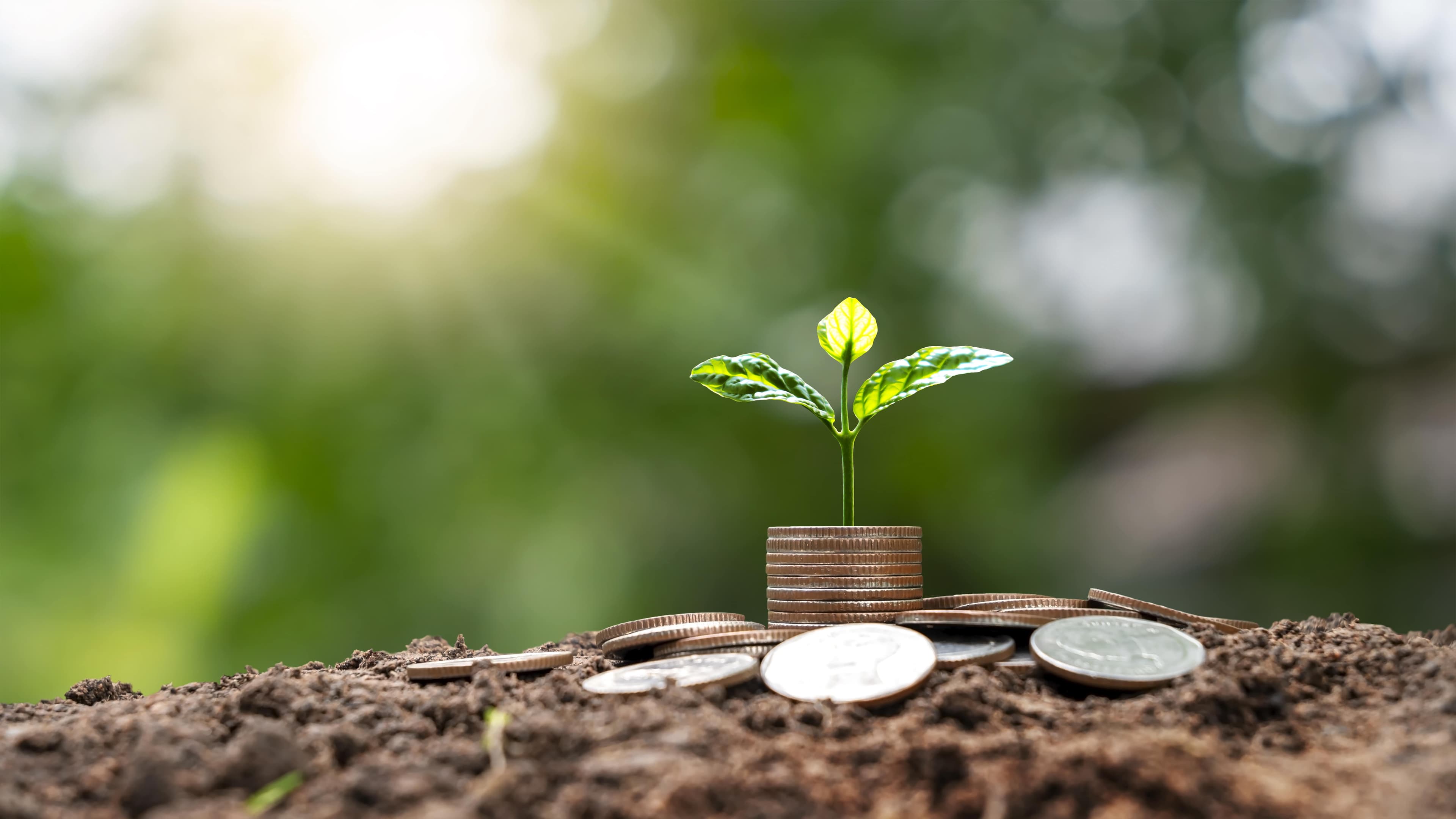 Malakoff Gets 'Gold' For Sustainable Finance Framework