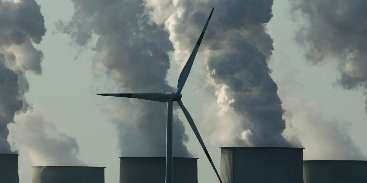 Trump’s Policies Cause Temporary Delay to Net Zero Goals: Survey