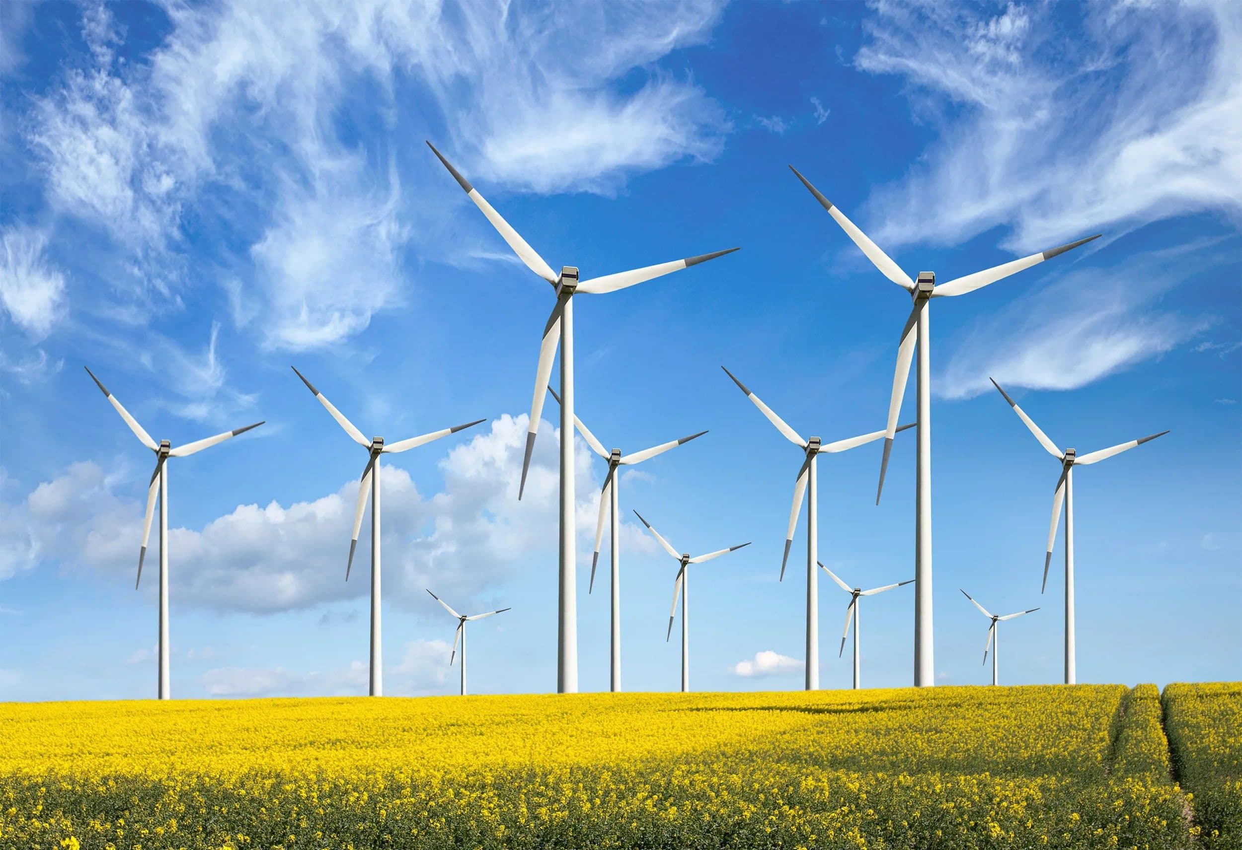 Net Zero Week UK 2025