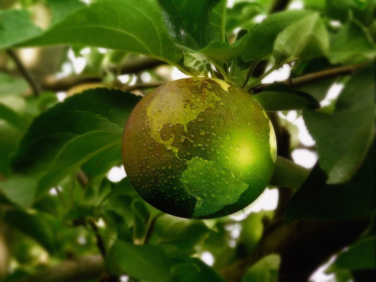 Understanding ESG Data and How to Use It