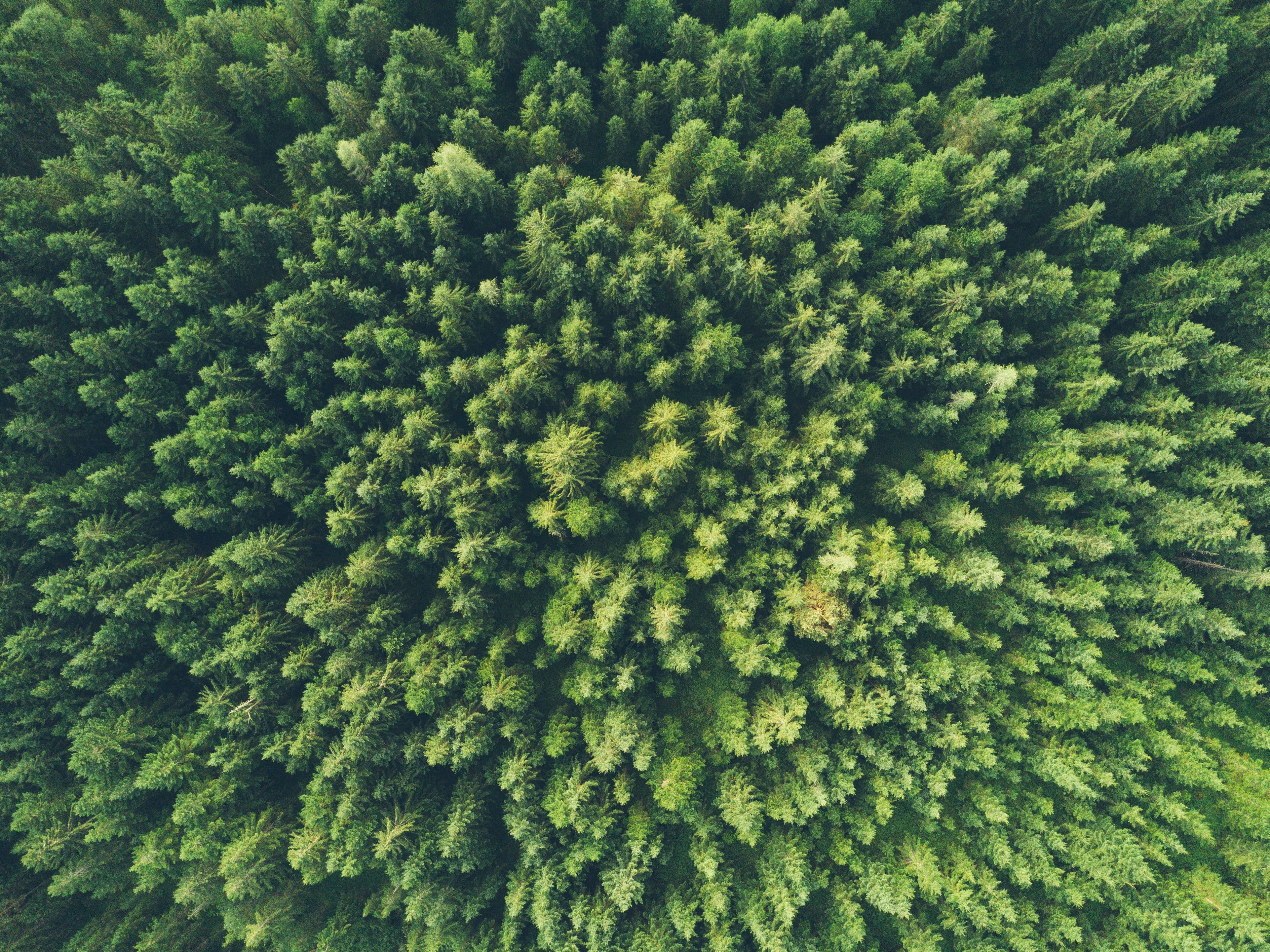 Transitioning to Greener Lifestyle Through Policies, Choices