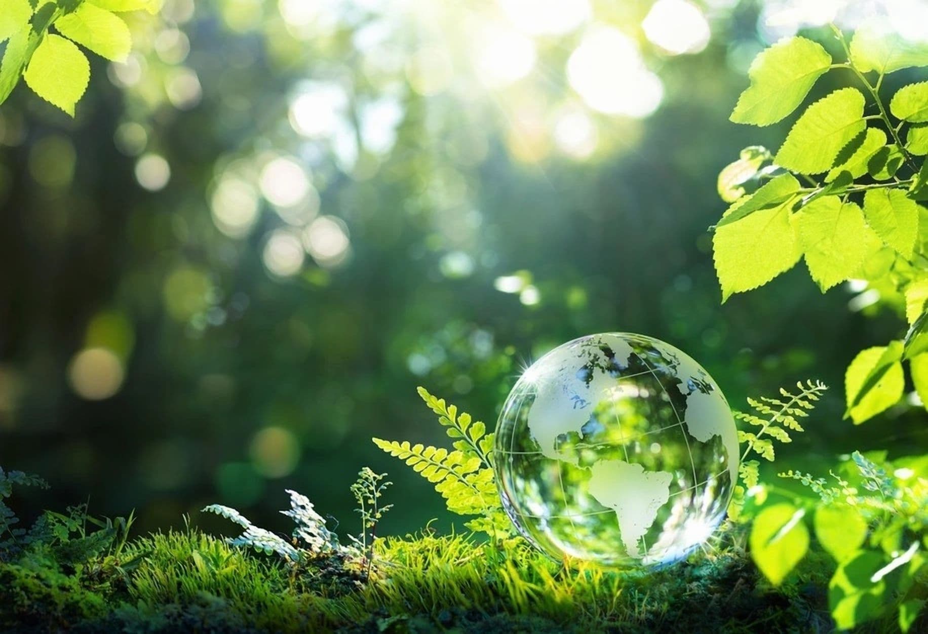 IDB Invest Launches 'enlaces' for Sustainable Finance