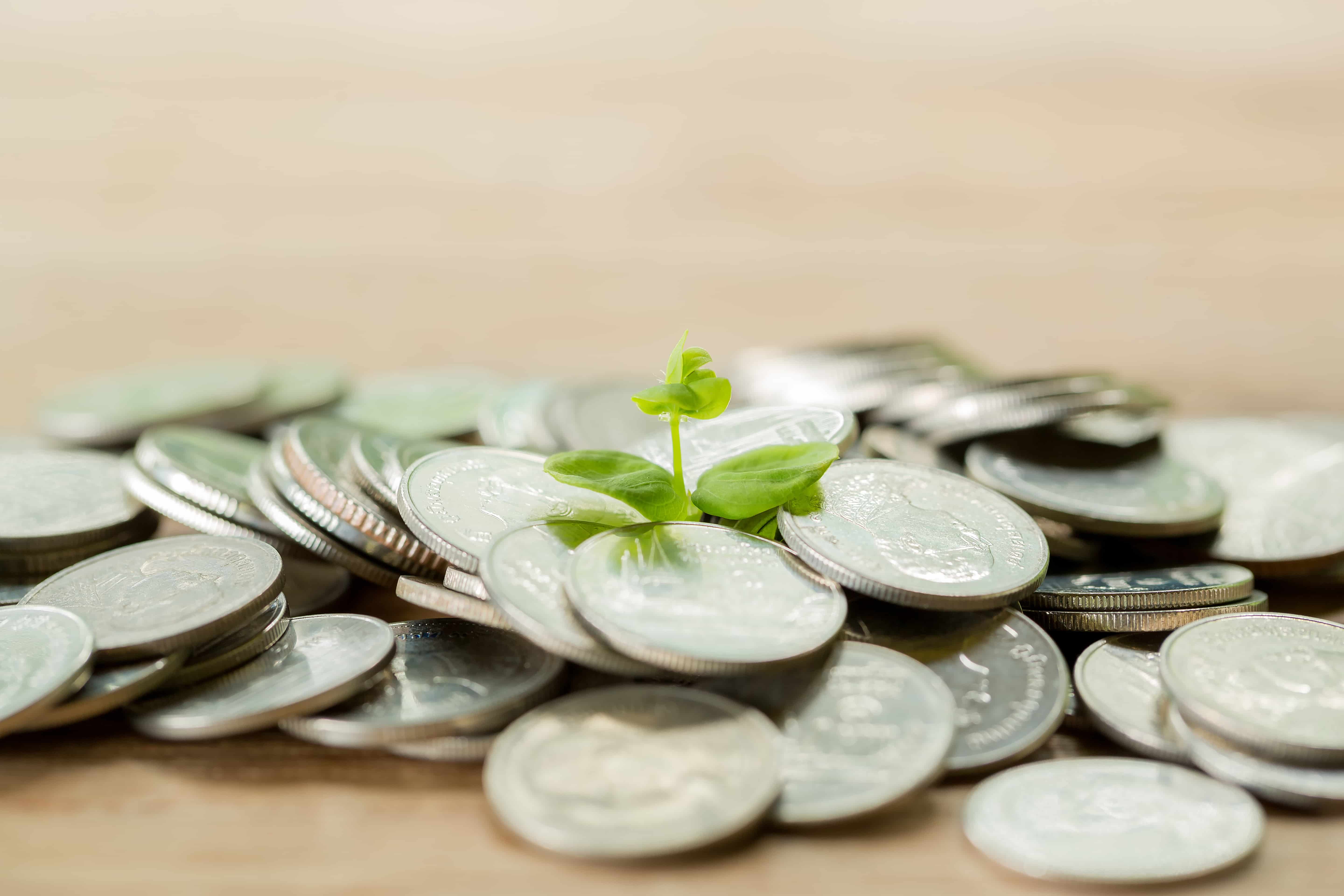 ESG Bond Issuance in South-east Asia Sees Sharpest Decline Yet