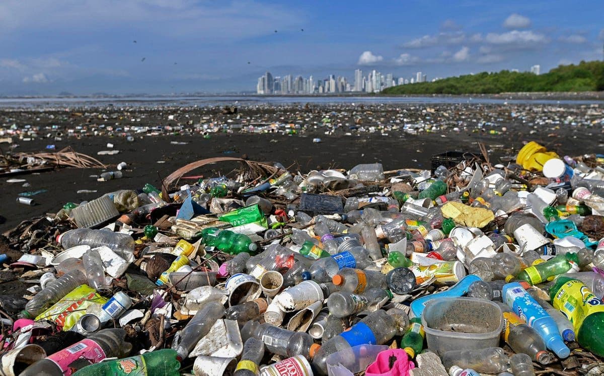 OECD Says Global Plastic Waste Likely to Triple by 2060