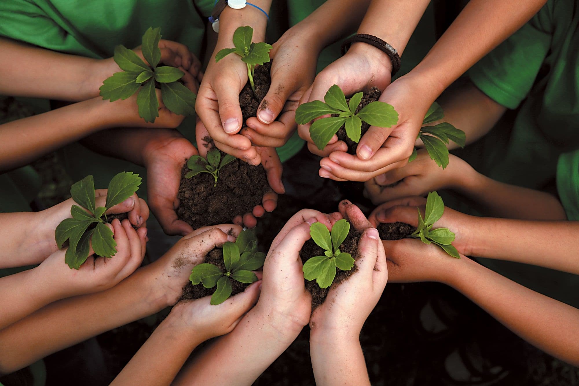 Pactiv Evergreen Publishes ESG Report
