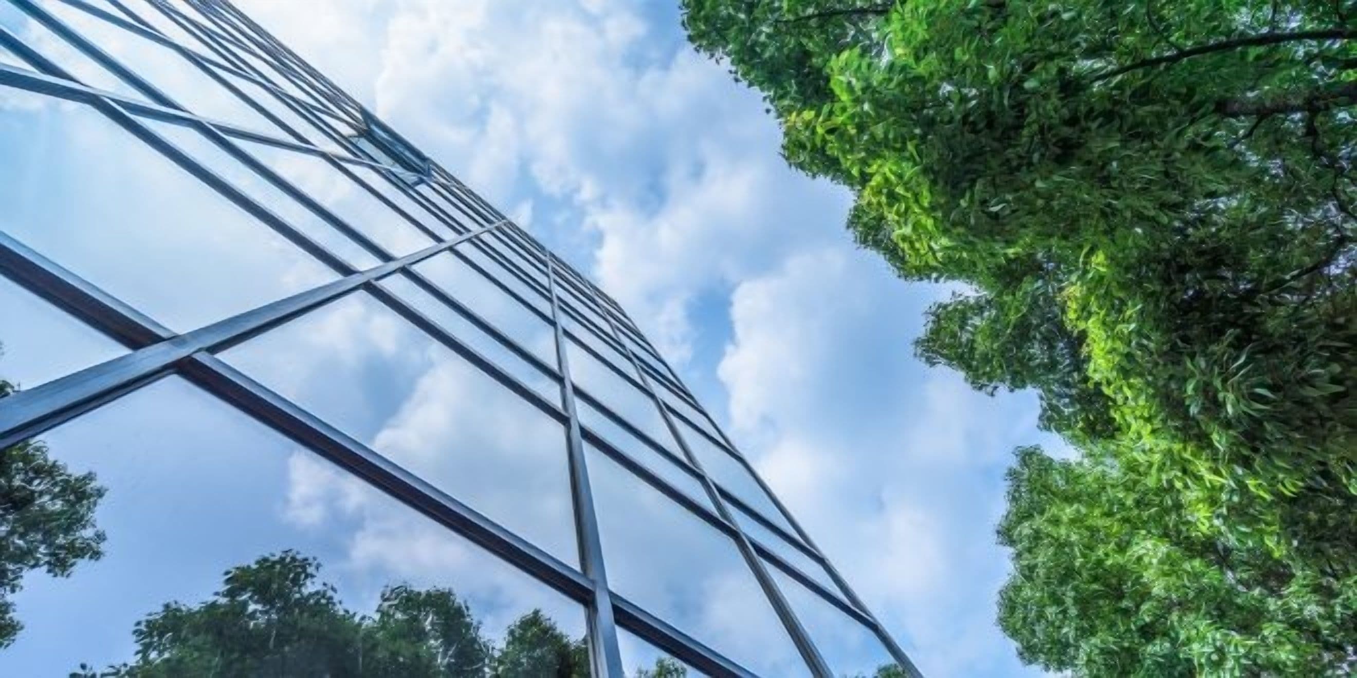 TD Synnex Secures Cisco's Eco-Specialisation in Europe