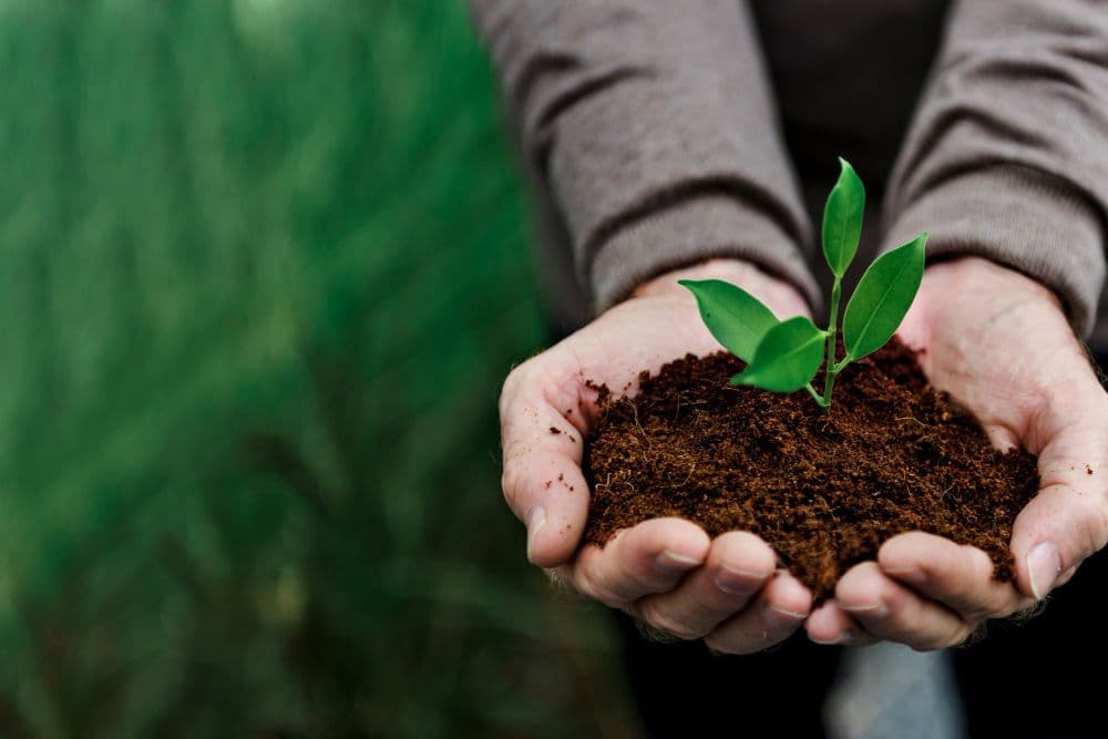 Attracting Investment for Net Zero Neighbourhoods