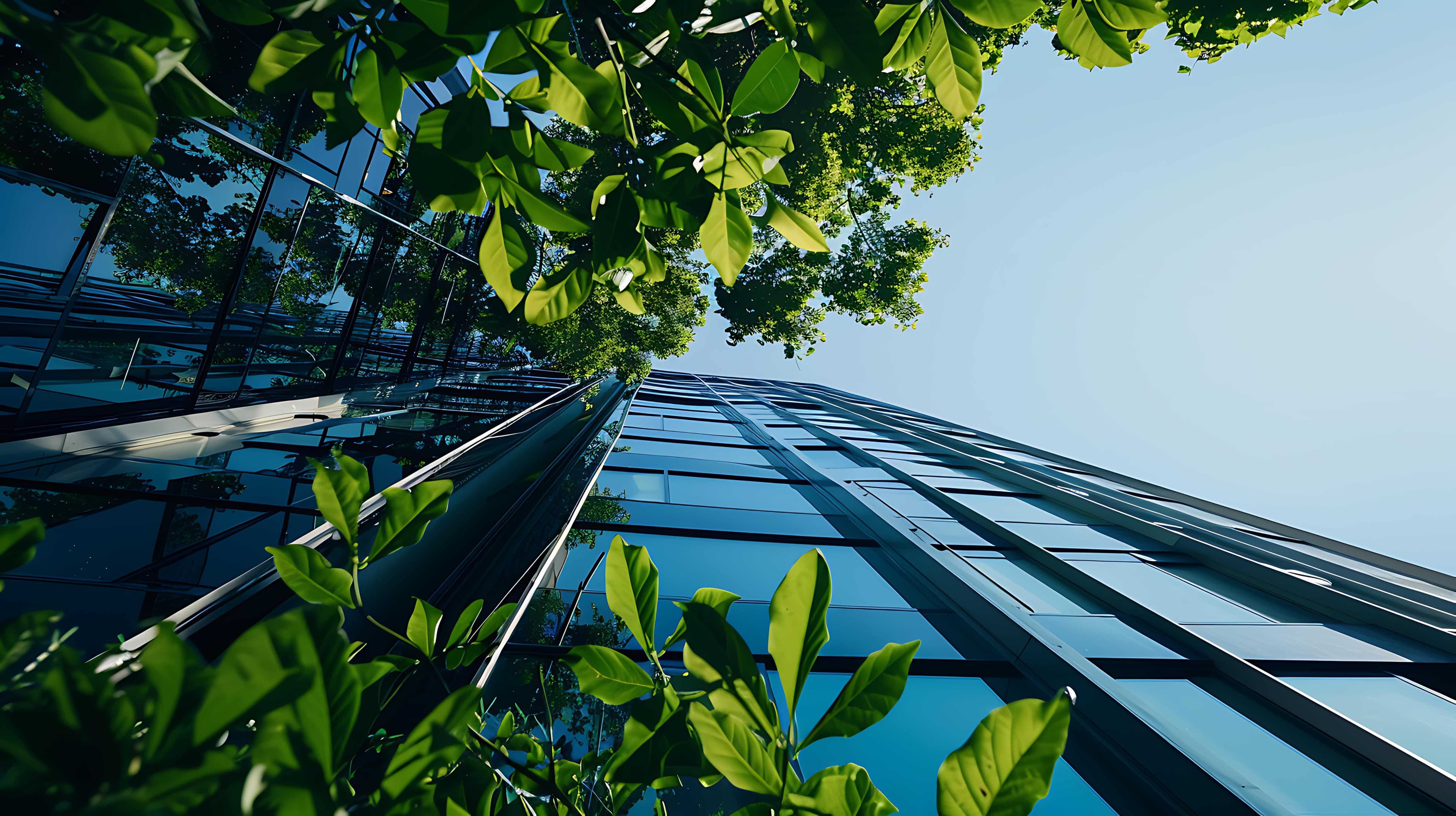 New Rules for Green Funds: What Investors Need to Know