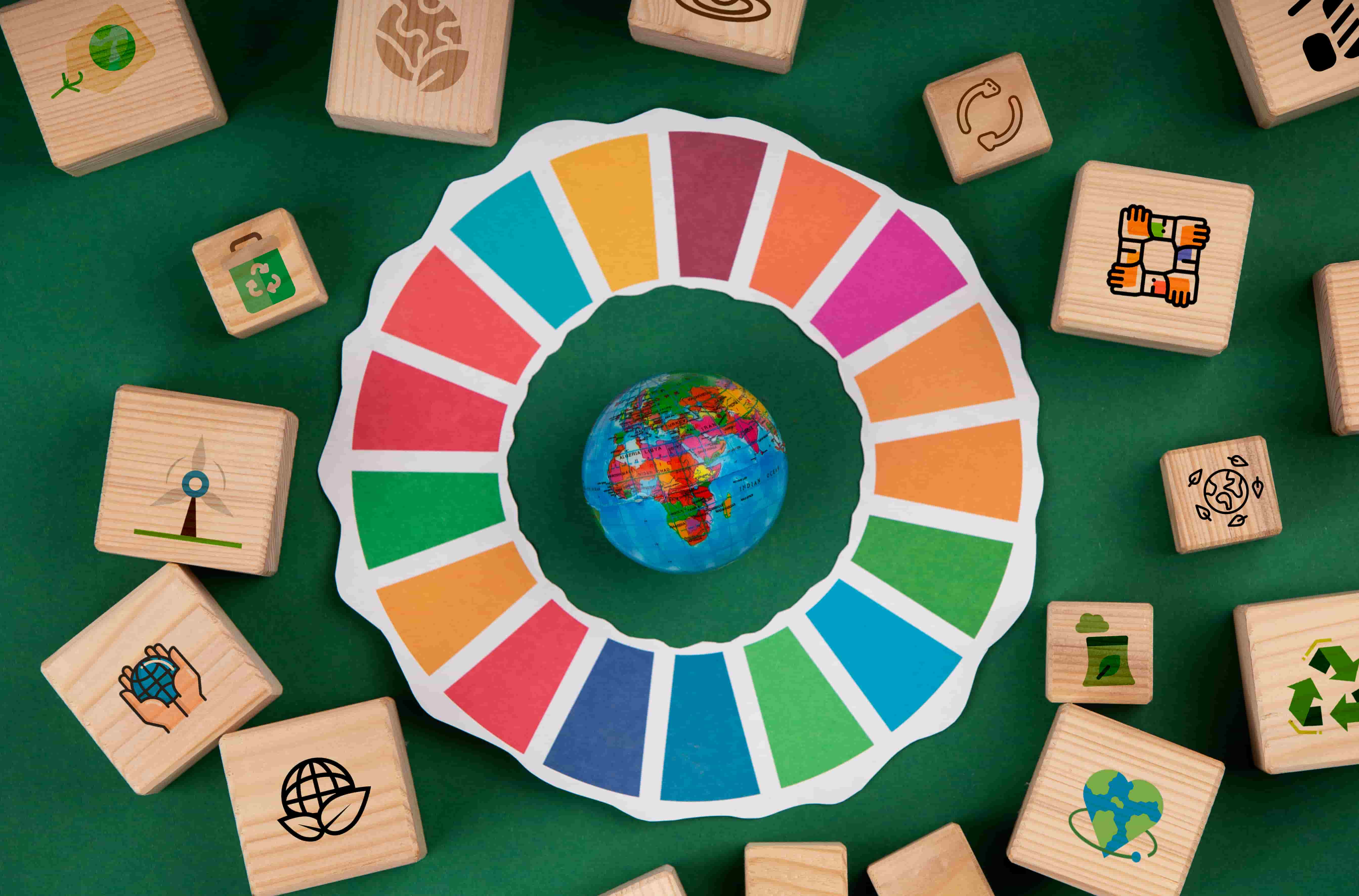EcoVadis Sustainability Ratings Go Live on Amazon Business Search
