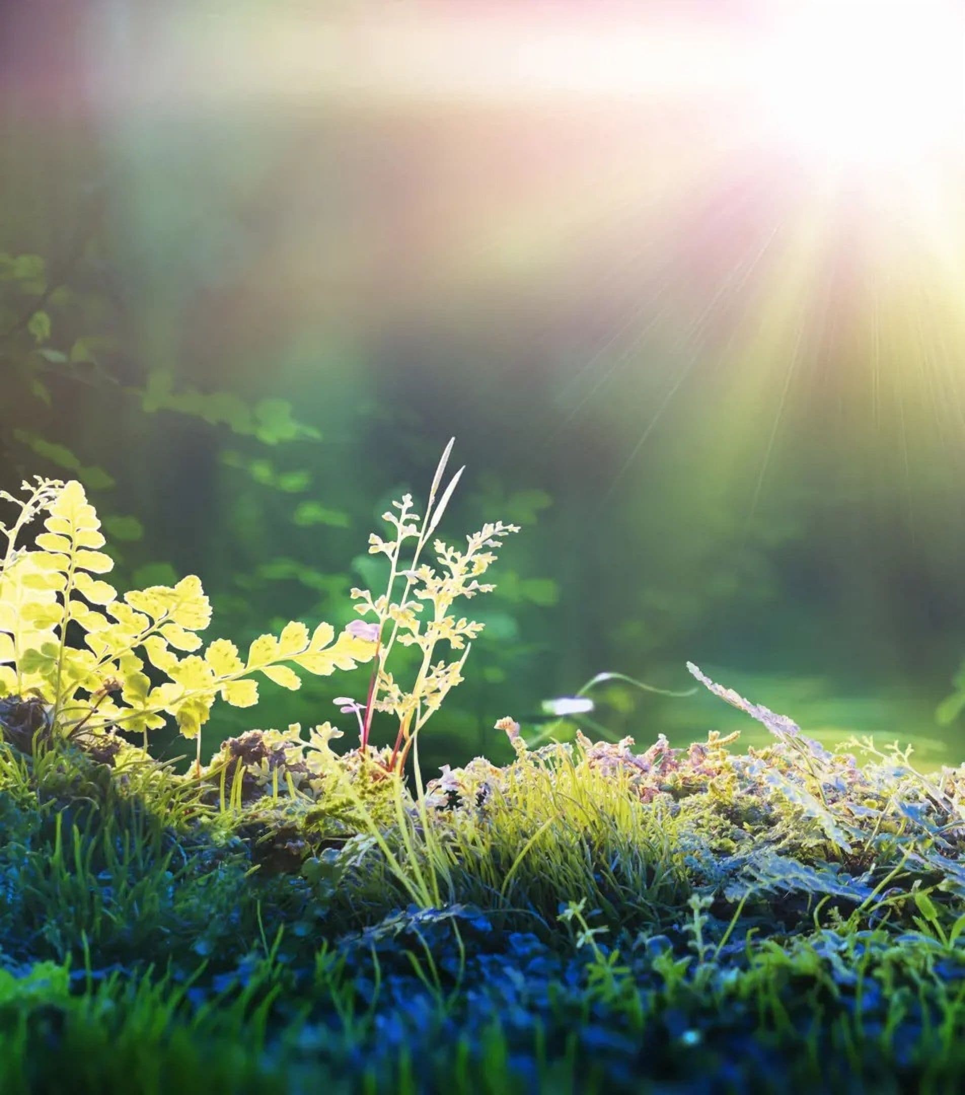 AMCS Buys FigBytes to Boost ESG Solutions