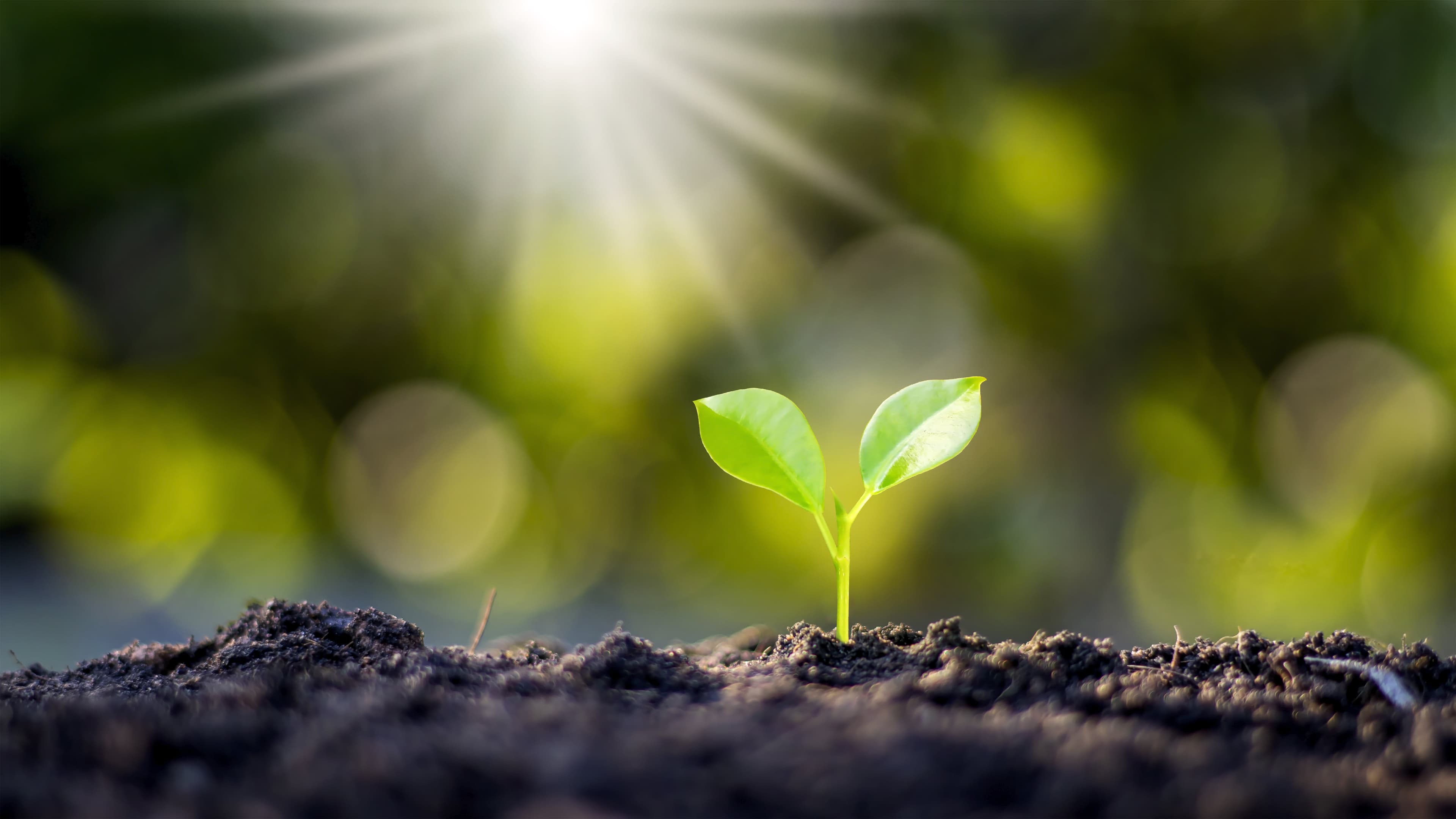 EquipNet Expands Circular Economy with 3S