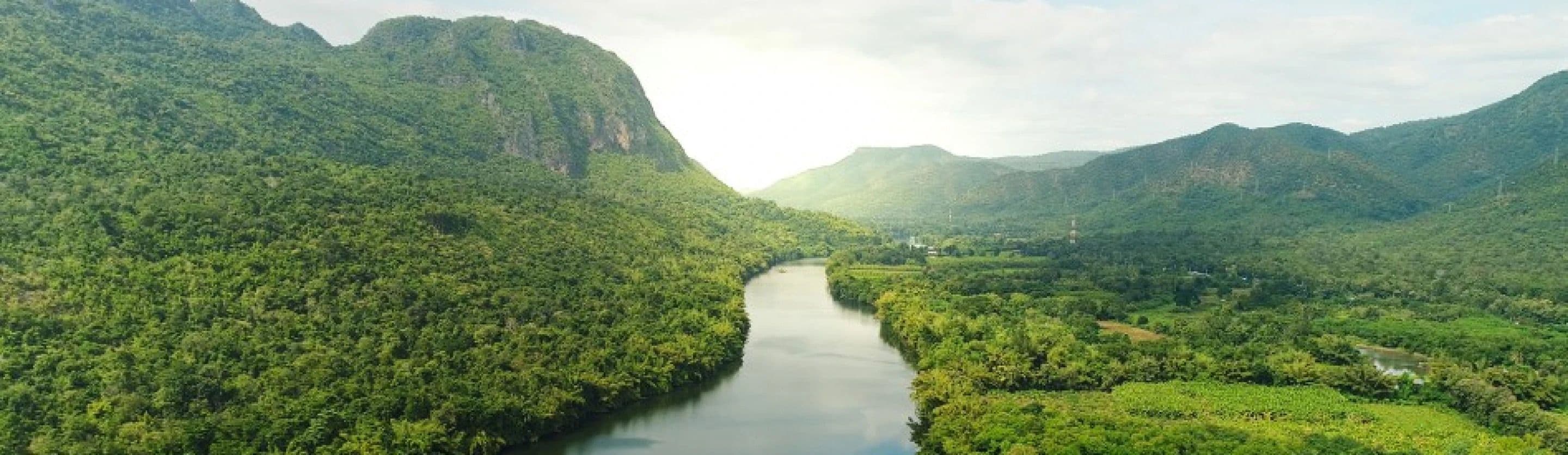 Amazon's US$15m for APAC Nature-Based Projects