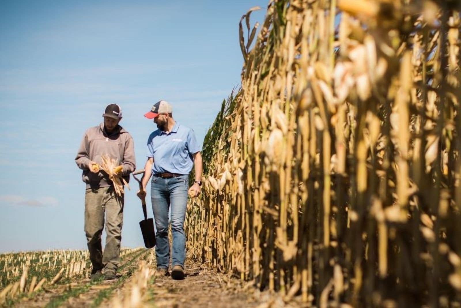 Indigo Ag Powers Green Agriculture with $250M Boost
