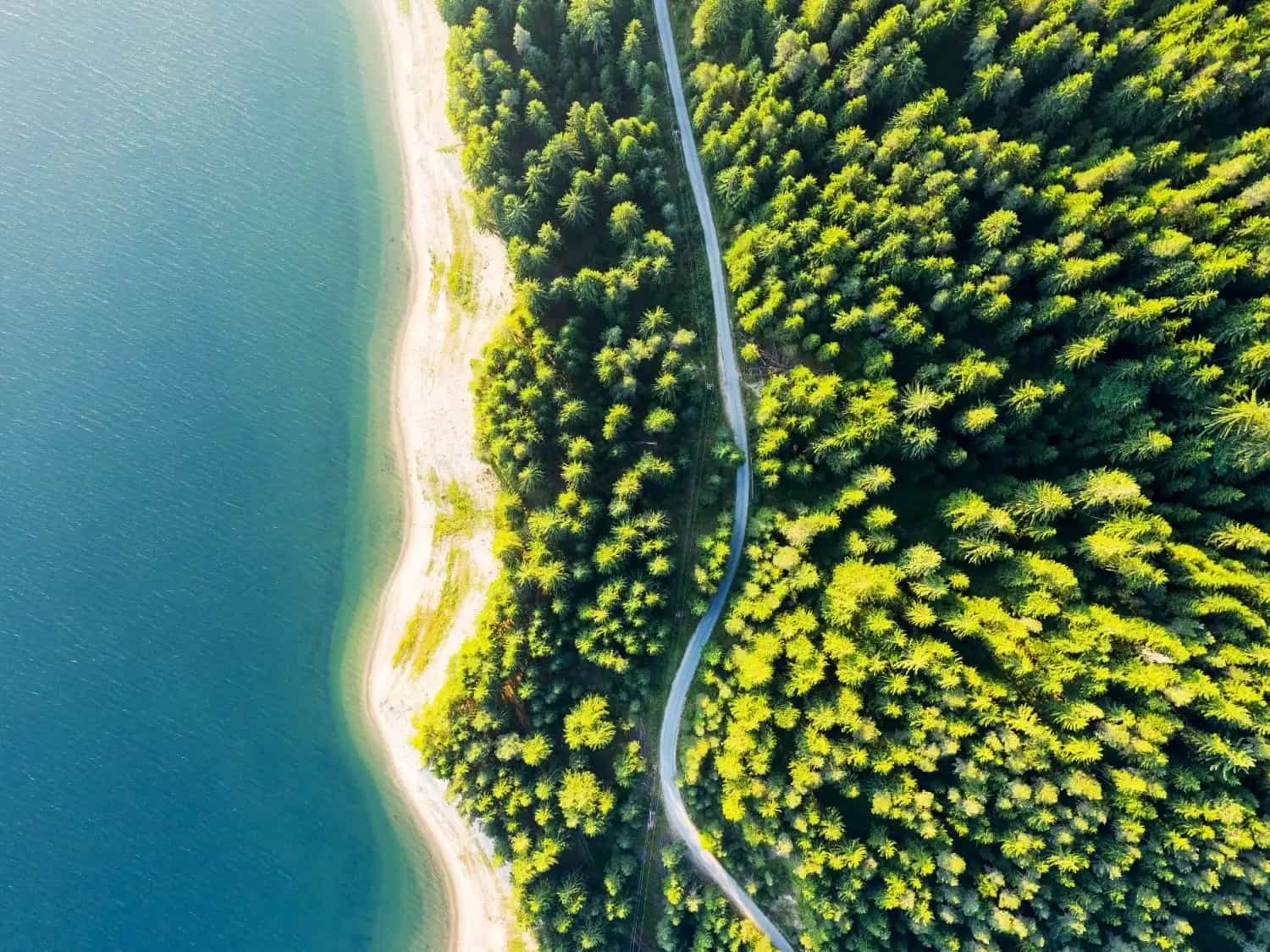 WTTC, Greenview Launch Global ESG Policy Tracker for Tourism Sector