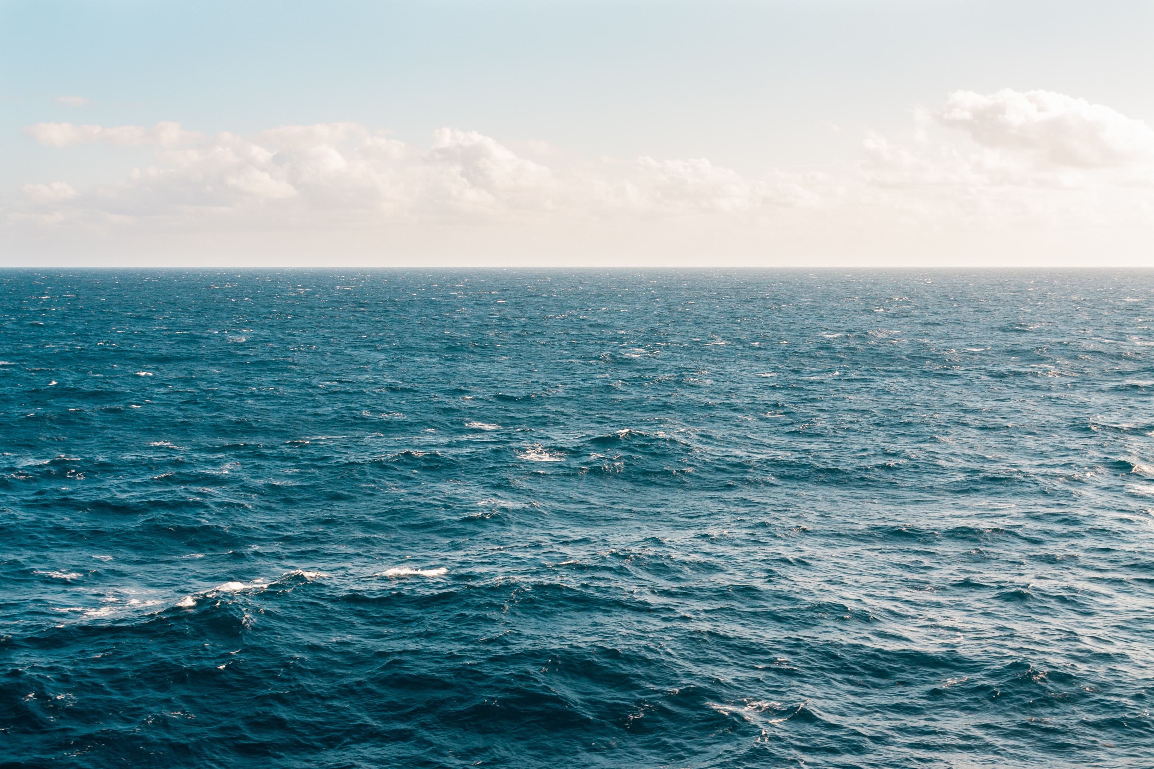 Blue is the New Black! Protecting the Ocean through Responsible Consumption