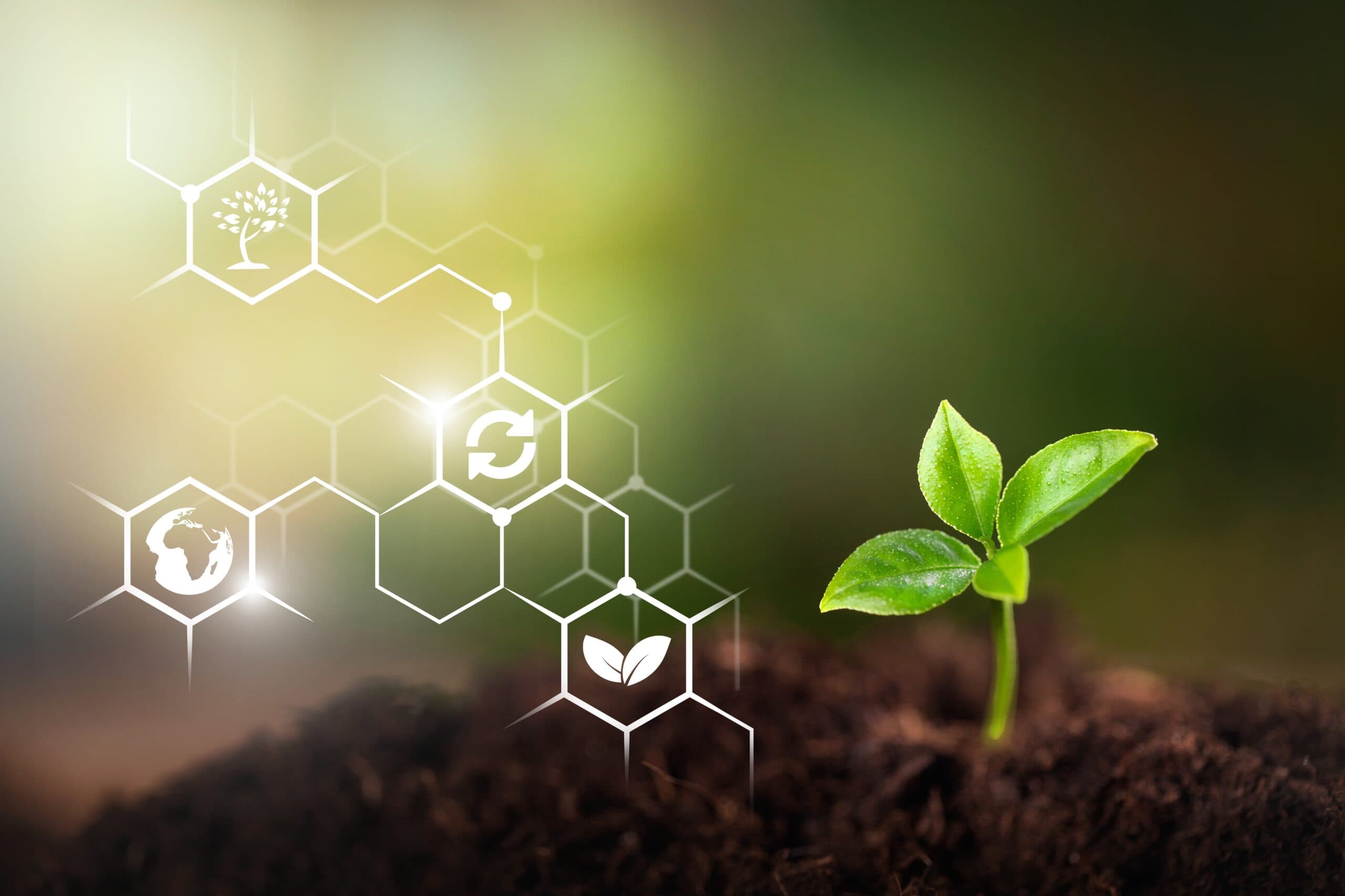 Cyclean, Arbipad Partner for Sustainable Cryptocurrency Investing
