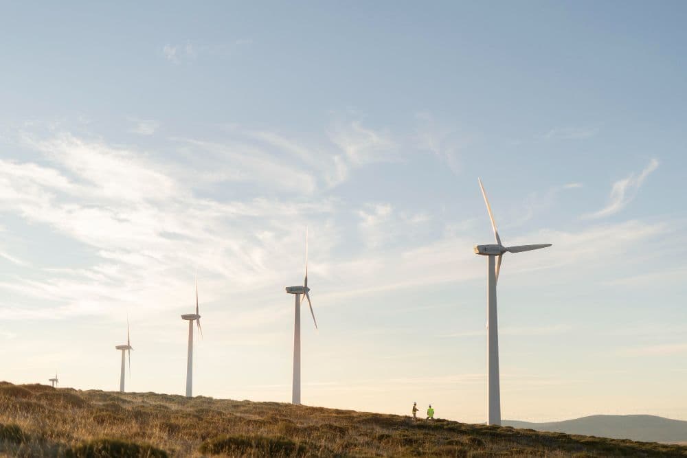 Only 2% of Organisations in Hong Kong Are Leading in ESG