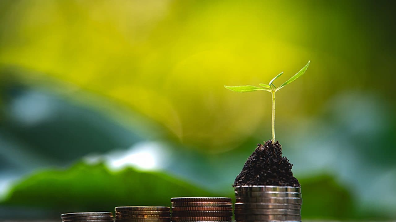 Cognito Report: Media Coverage of Climate Finance and ESG Increasing by 50 Percent Annually