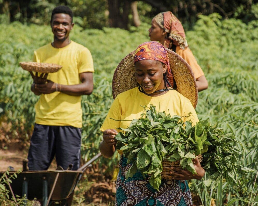 15,000 Kenyan Farmers Transition to Climate-Smart Farming