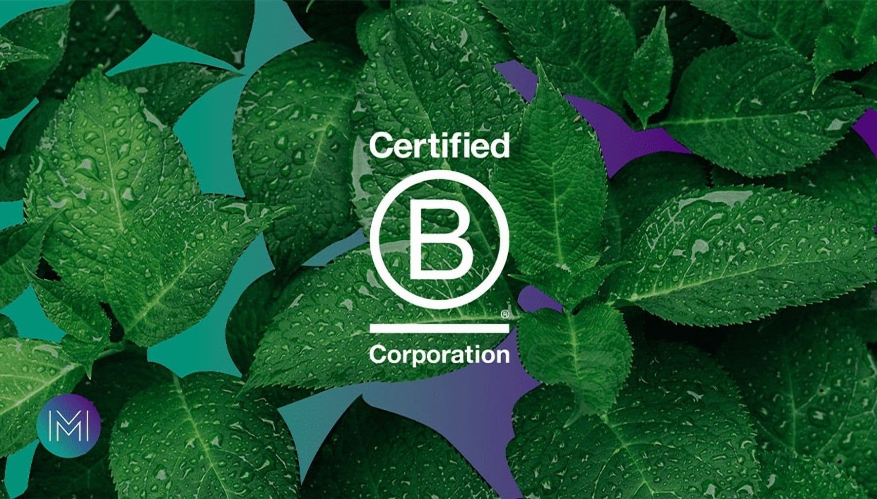 Moorhouse Consulting Joins B Corp Movement