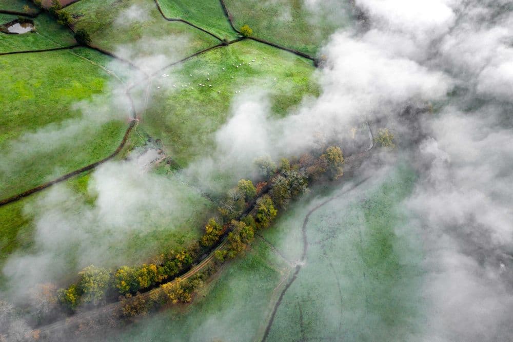 Regions Can Reduce Carbon While Sustaining Economic Growth, Study Finds