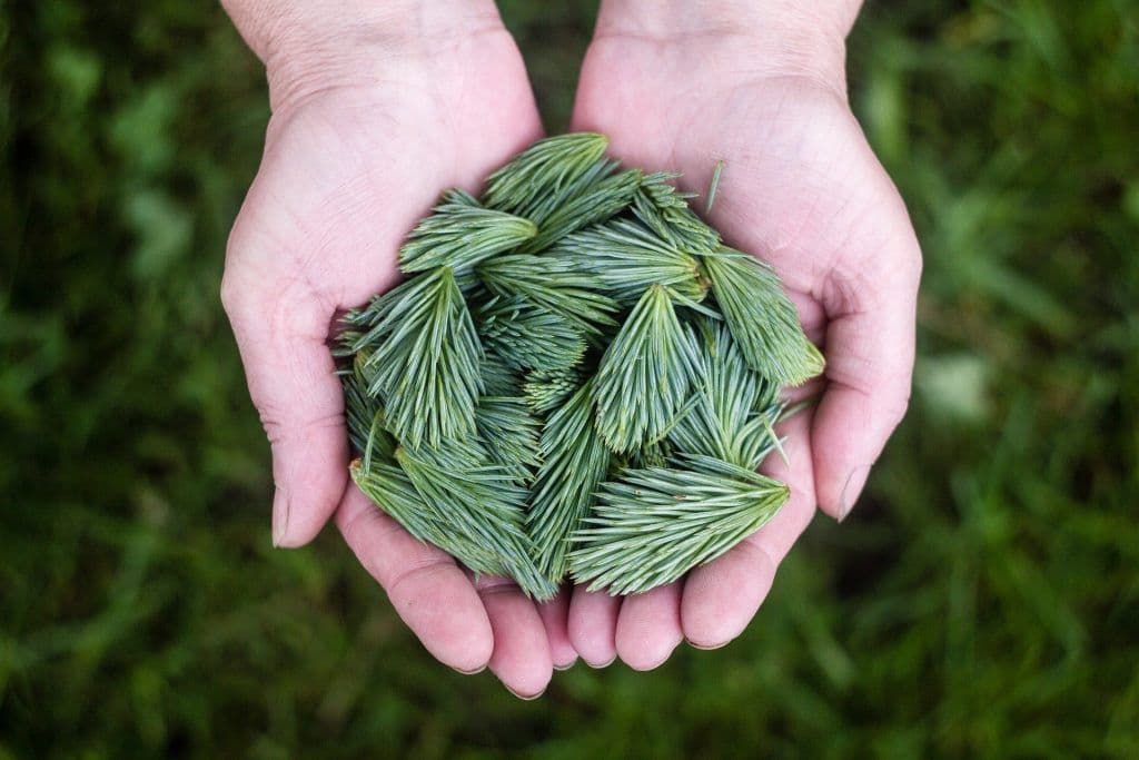 EdenTree Rolls Out Uniquely Focused Green Infrastructure Fund