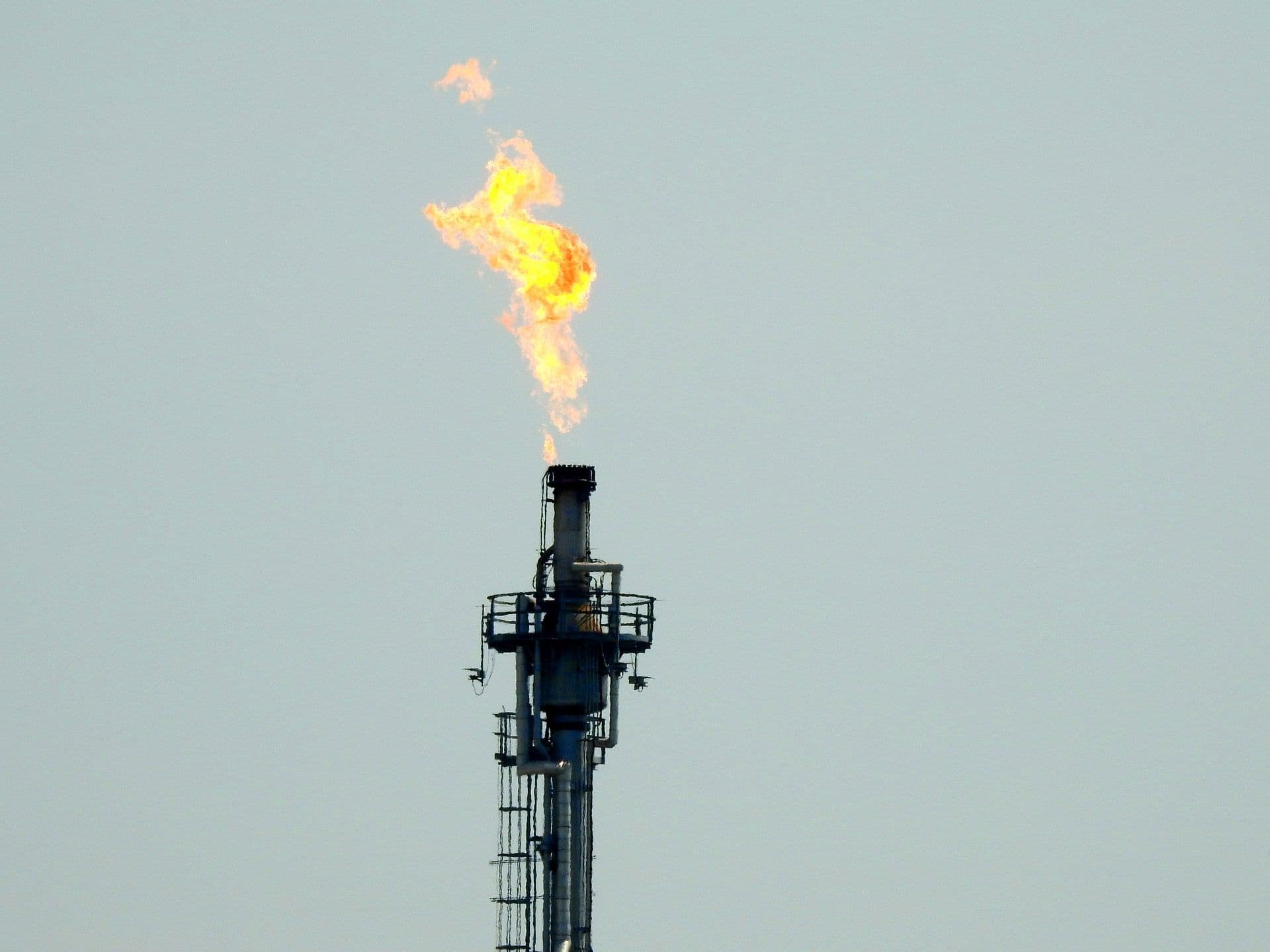 Toronto Financial Firms Invest Heavily in Fossil Fuels