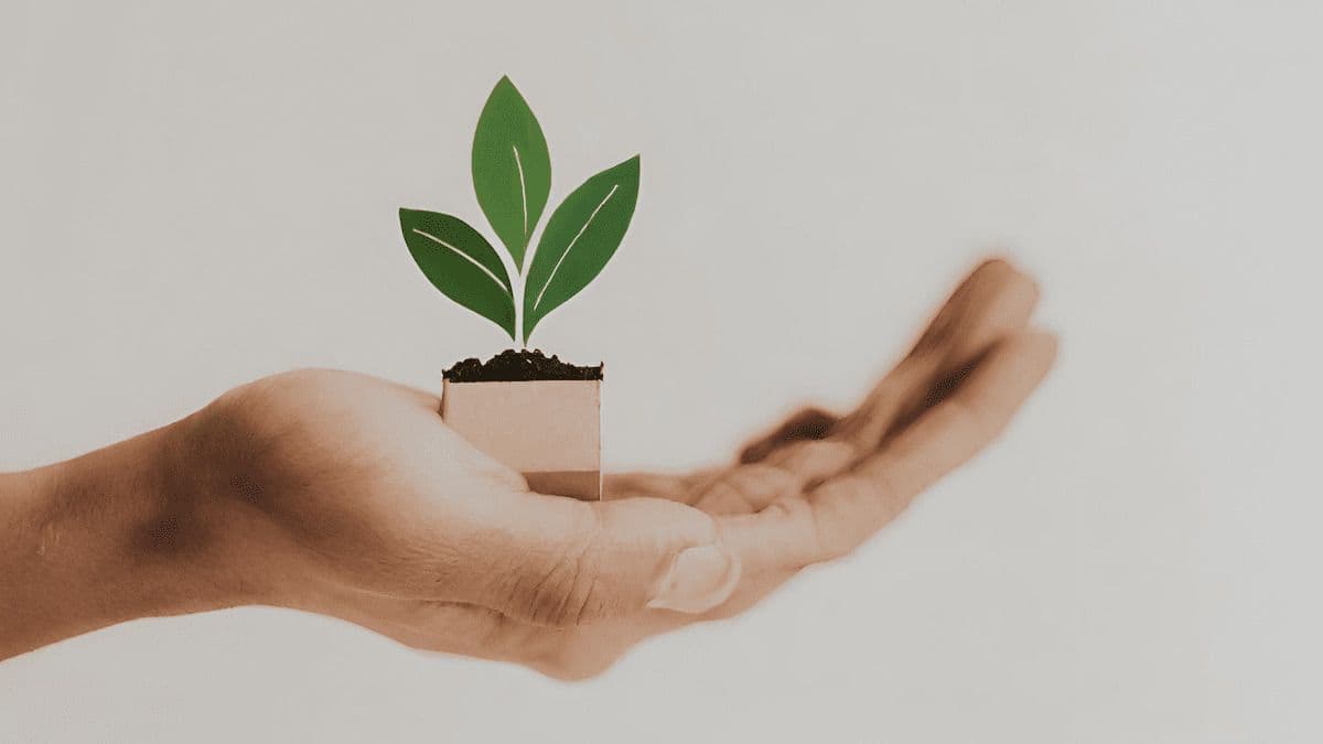 Impact Investing Forum 2023
