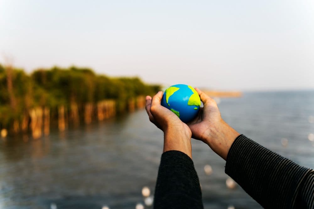 ING Advances Climate Action for a Low-Carbon Future